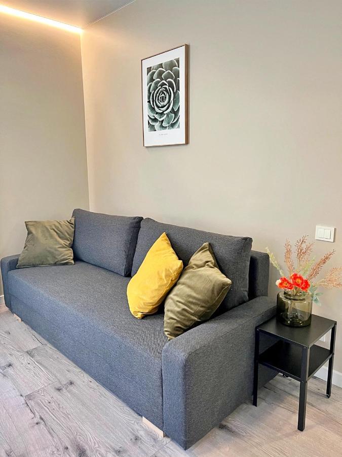 Clinic Studio Apartments By Hostlovers Κάουνας Εξωτερικό φωτογραφία