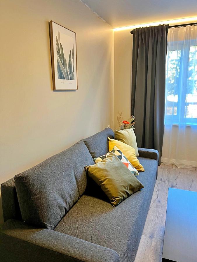 Clinic Studio Apartments By Hostlovers Κάουνας Εξωτερικό φωτογραφία